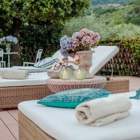 Villa Beautiful Lory On The Hills Of Lucca Piaggiori